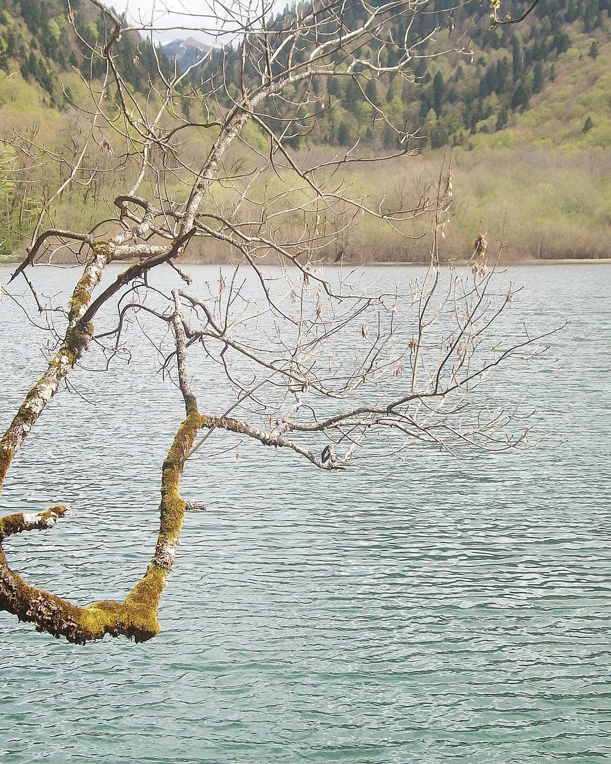 Biogradsko jezero boat & kayak rental