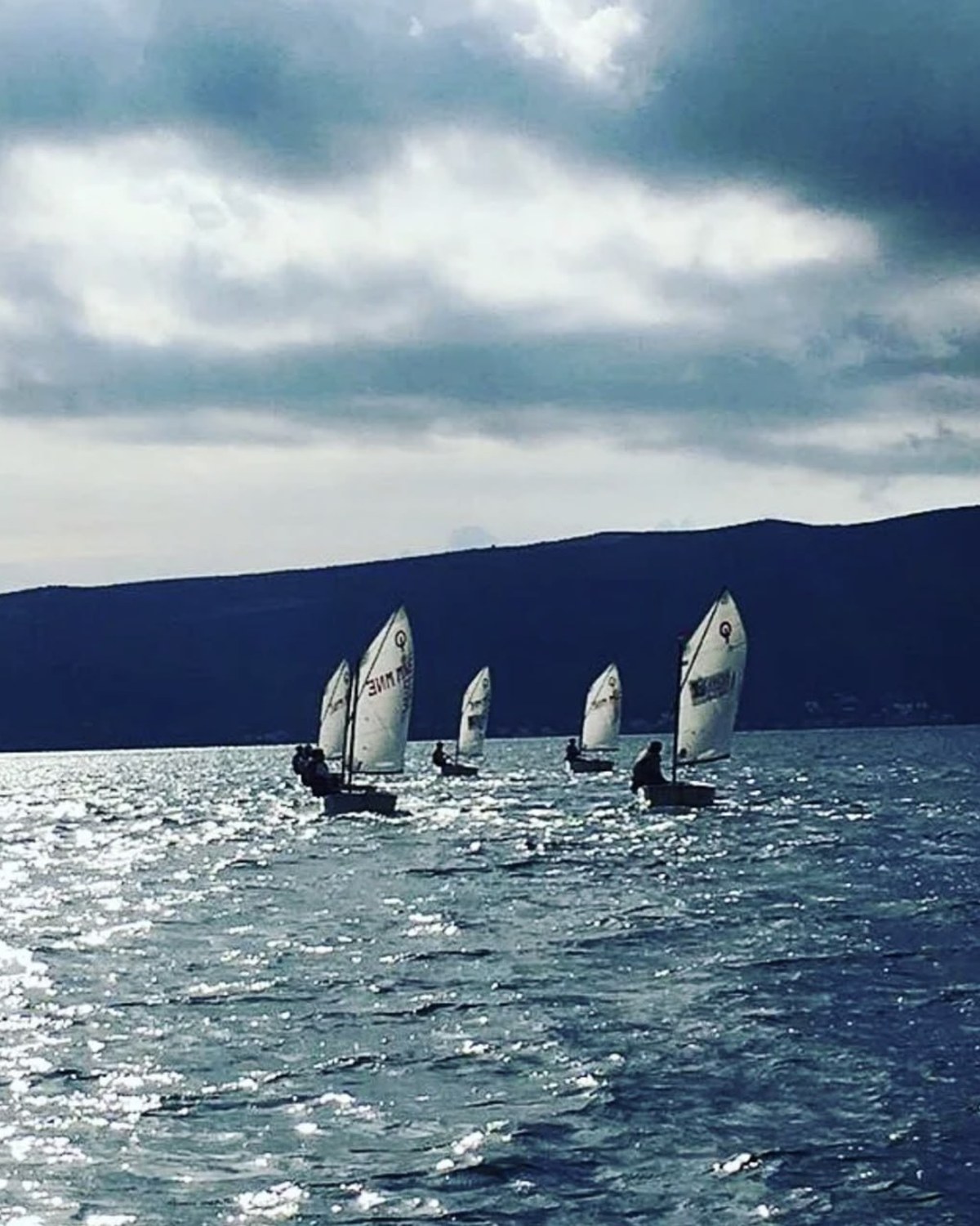 Jedriličarski klub Delfin — sailing school