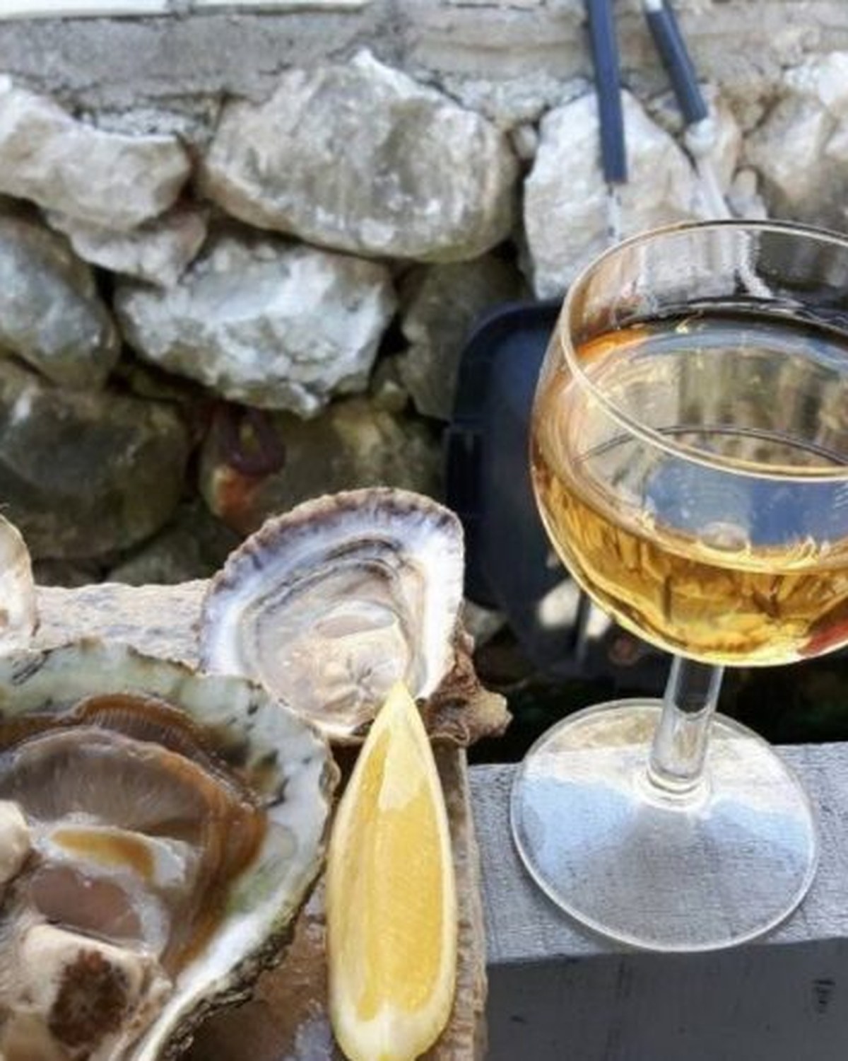 Mussel & oyster farm — sea to plate