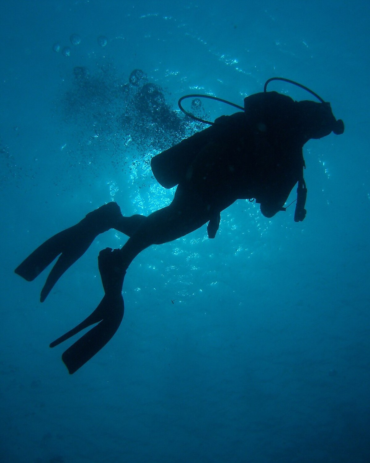 Petrovac Diving Center