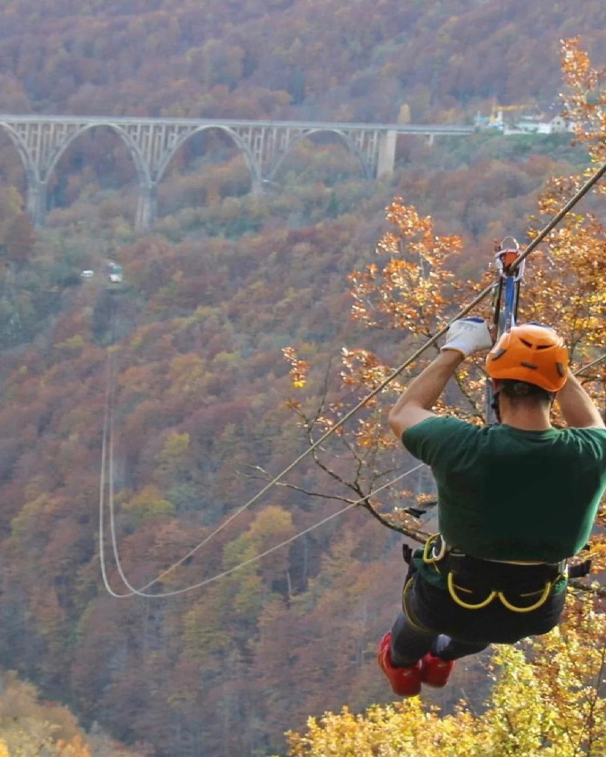 Zipline Tara canyon