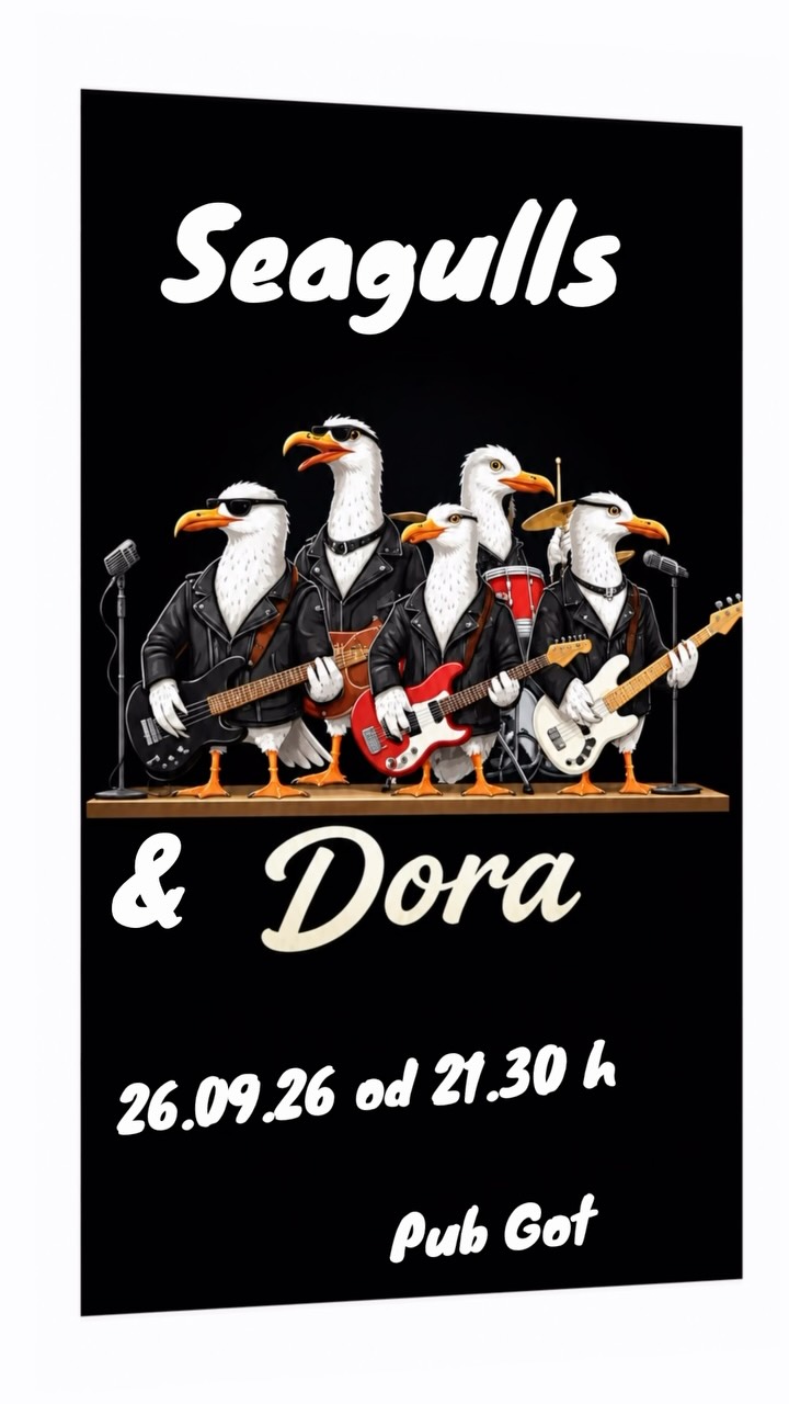 Seagulls & Dora live, Pub Got