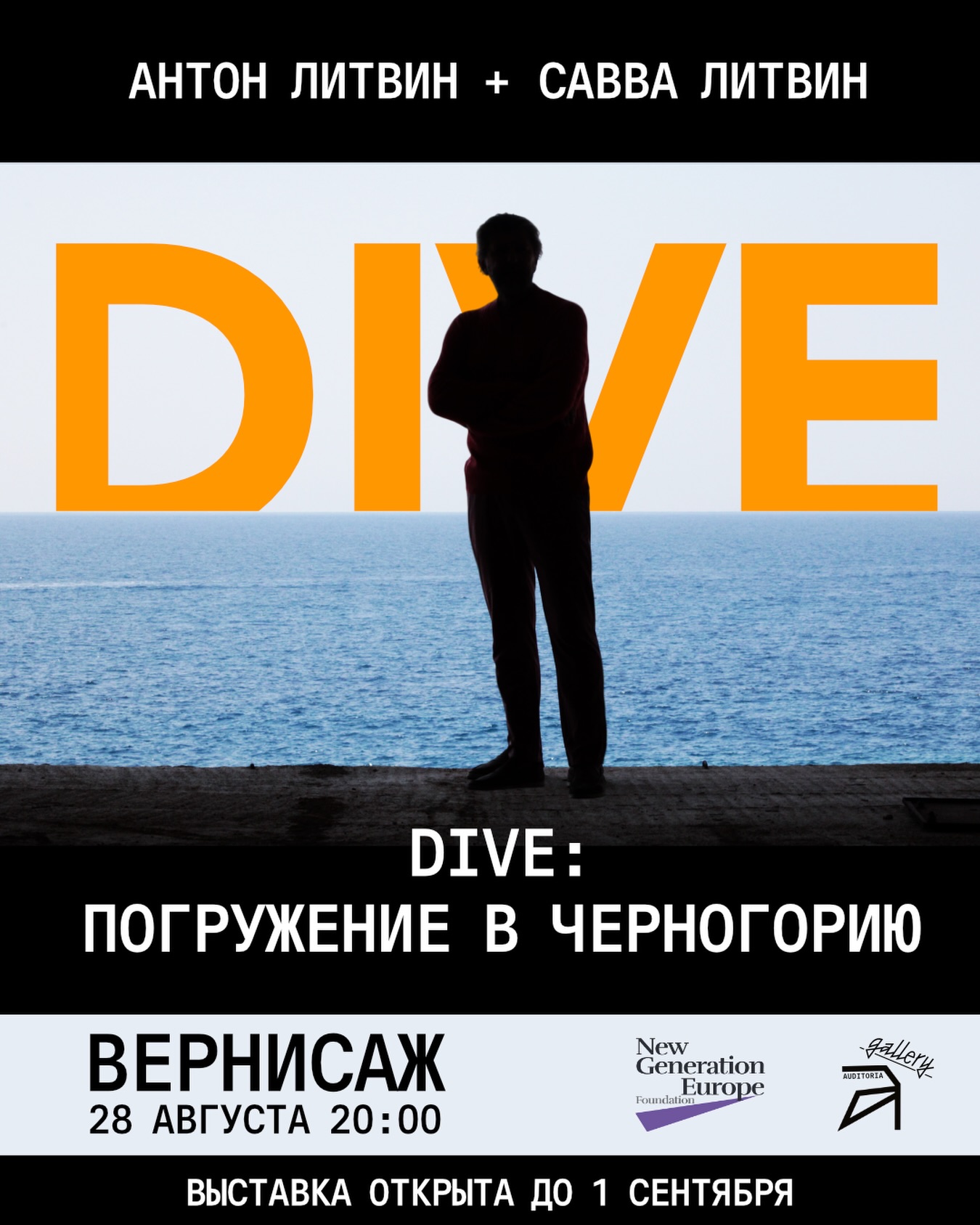 DIVE: Погружение в Черногорию -- вернисаж выставки Антона Литвина, Auditoria Budva