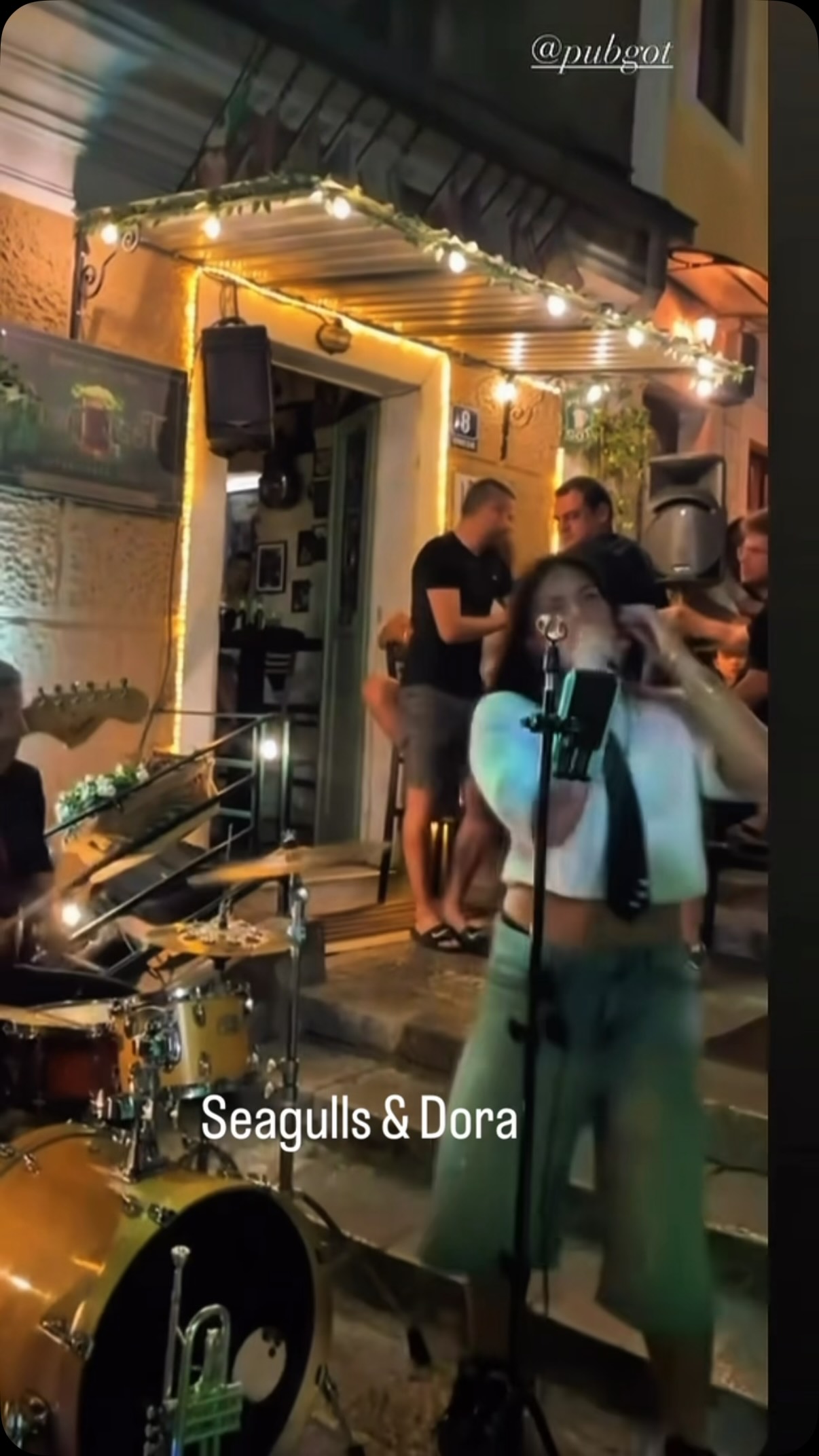 Seagulls feat Dora, Pub Got