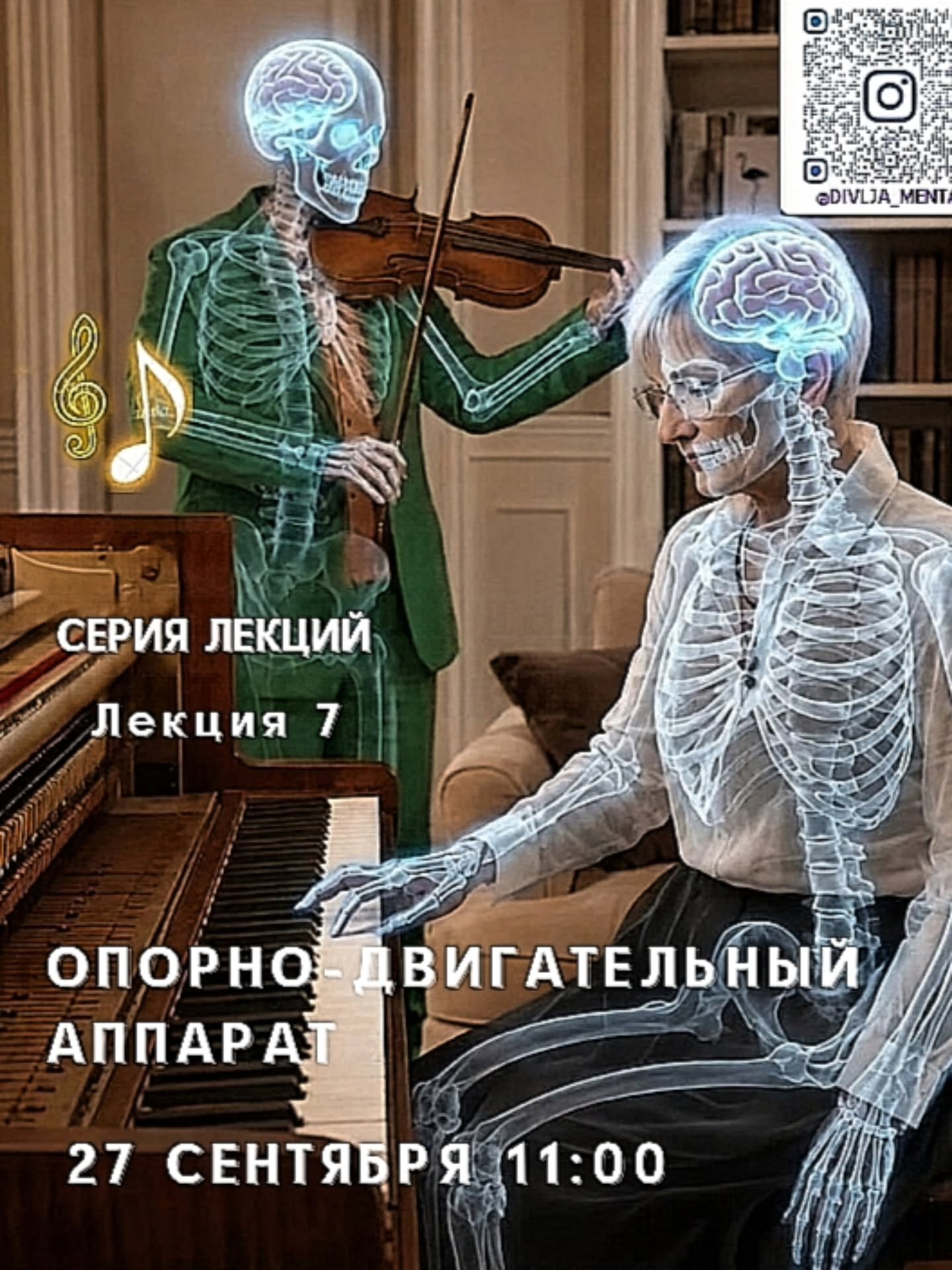 Лекция 7: Опорно-двигательный аппарат тела, Divlja Menta