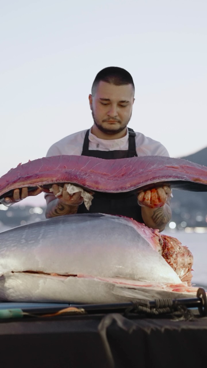 Tuna Matsuri Nights, Sumosan Montenegro, Dukley Riviera