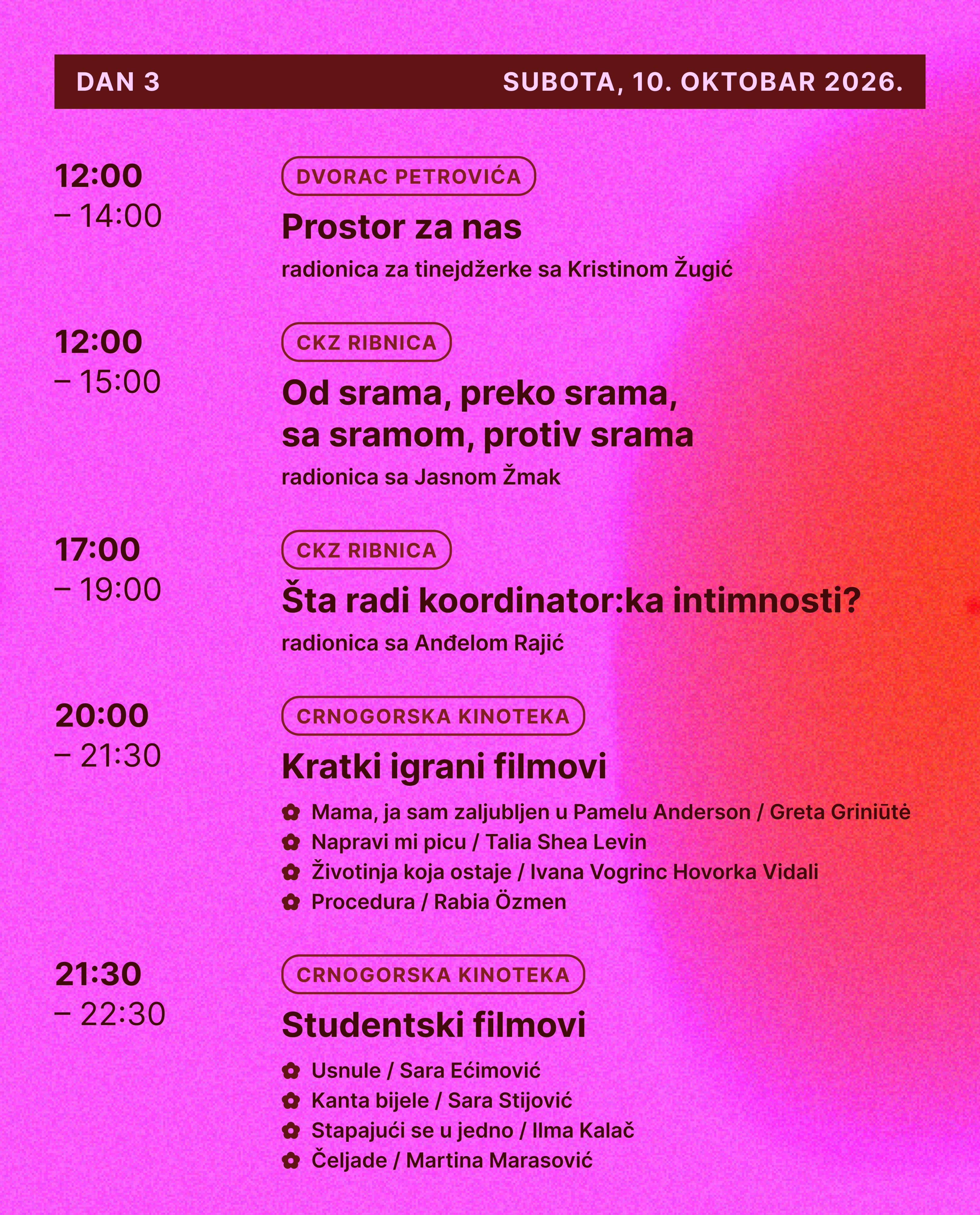 Prostor za nas - radionica za tinejdžerke sa Kristinom Zugic, Dvorac Petrovića