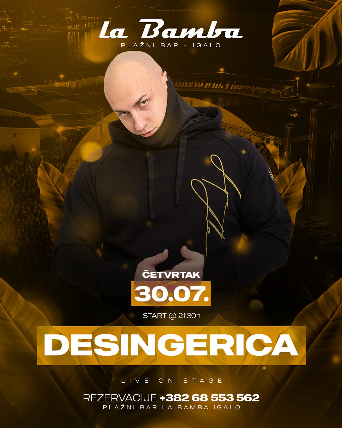 DESINGERICA