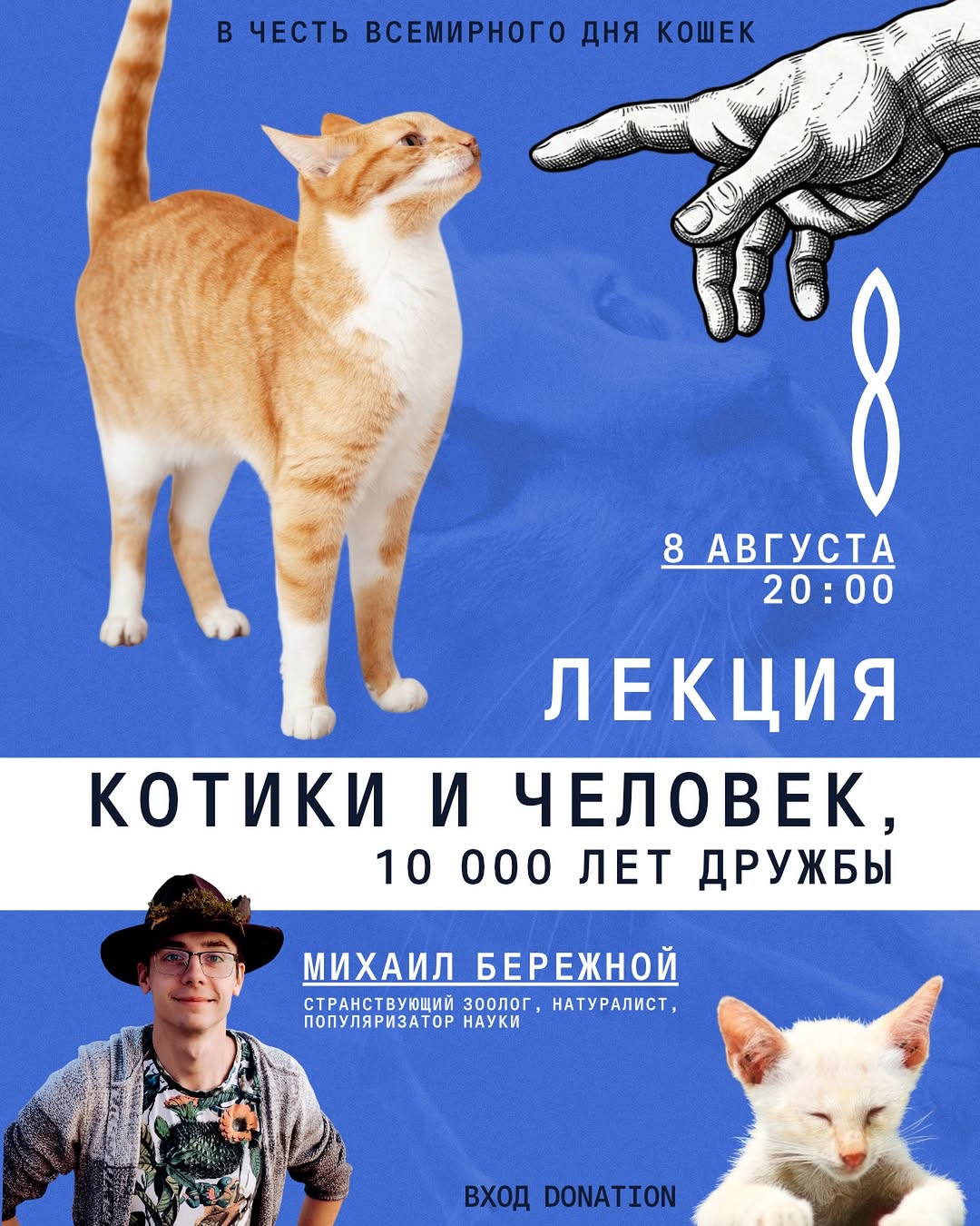 Котики и человек: 10 000 лет дружбы