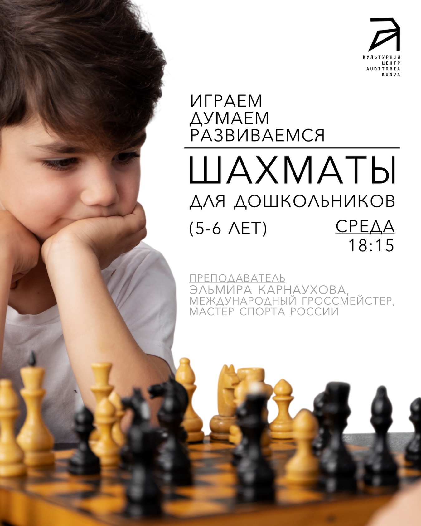 Шахматы для дошкольников 5-6 лет, Auditoria Budva