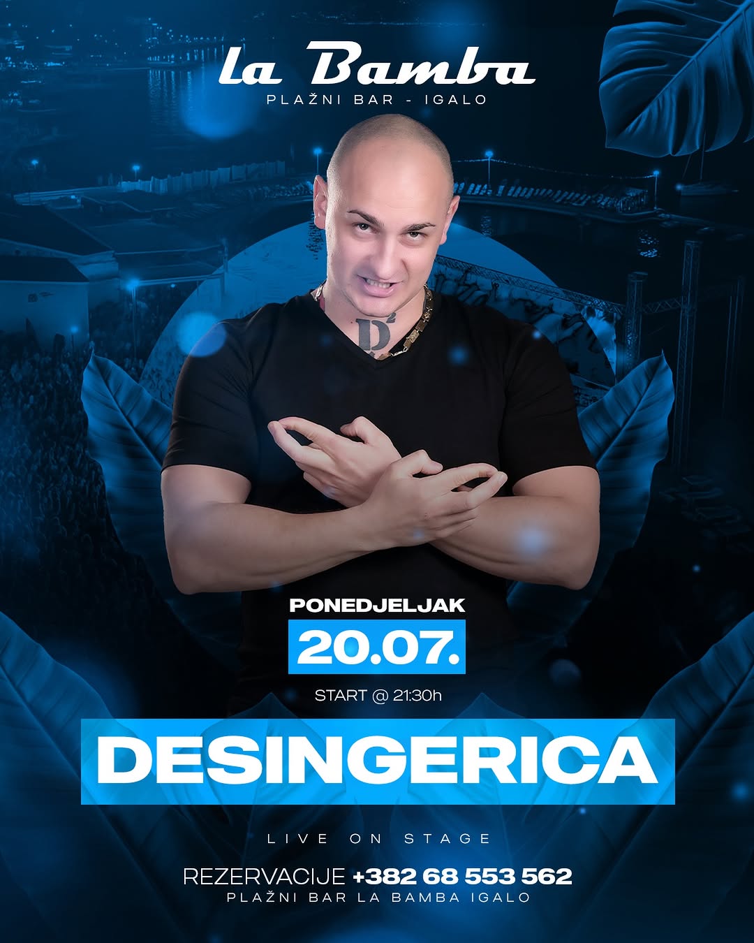 Desingerica