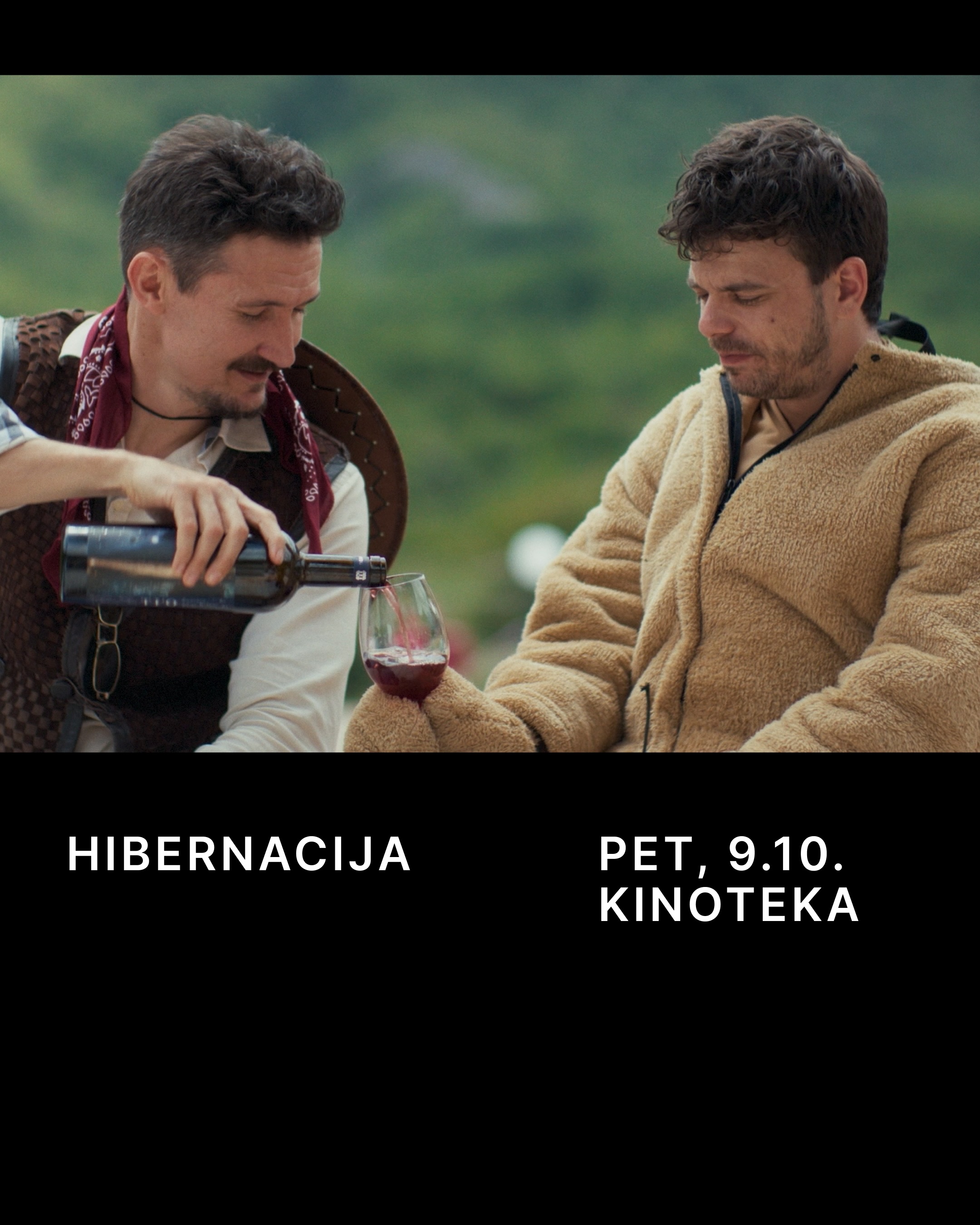 Hibernacija
