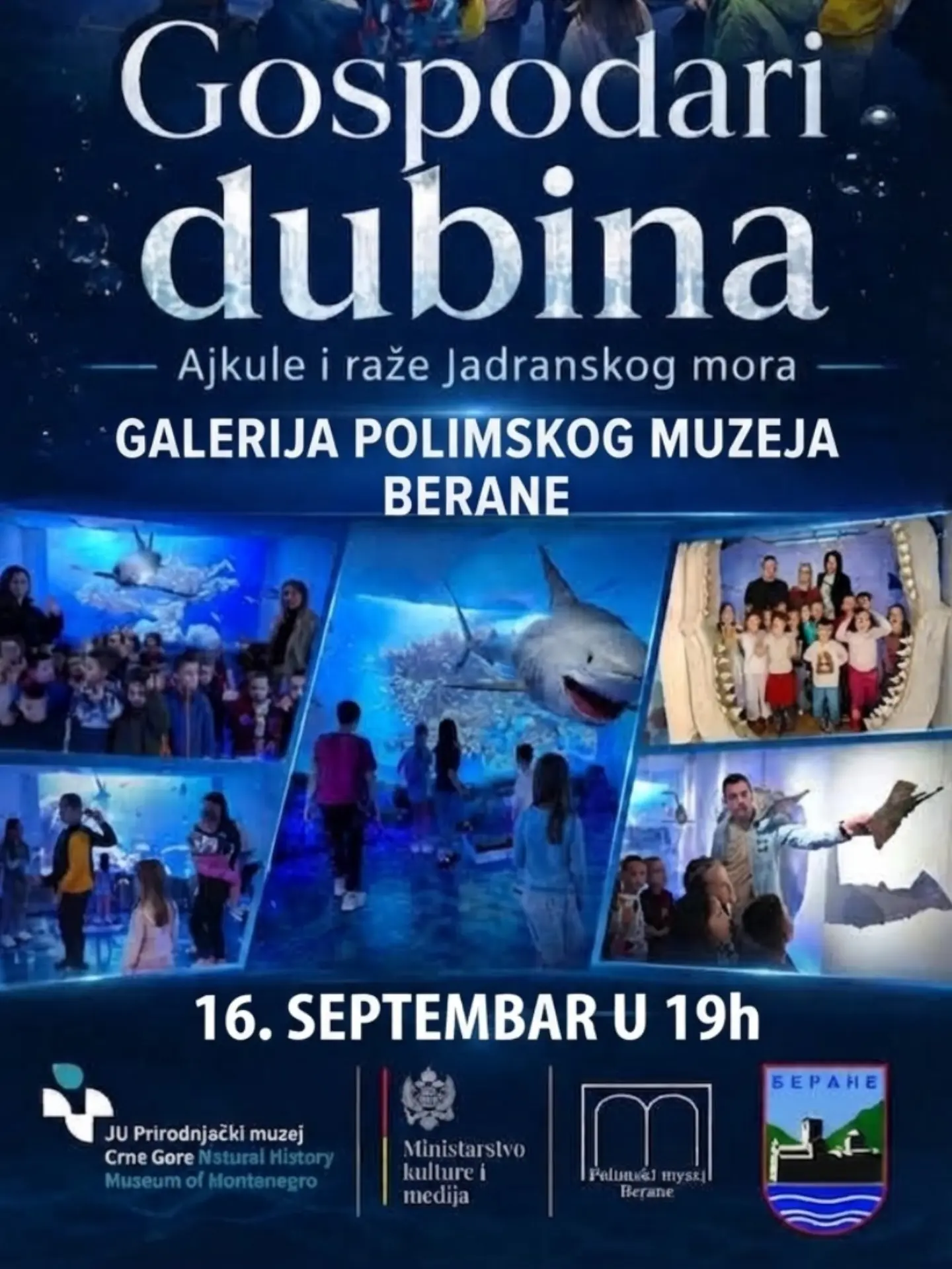 Gospodari dubina - ajkule i raže Jadranskog mora, Galerija Polimskog muzeja