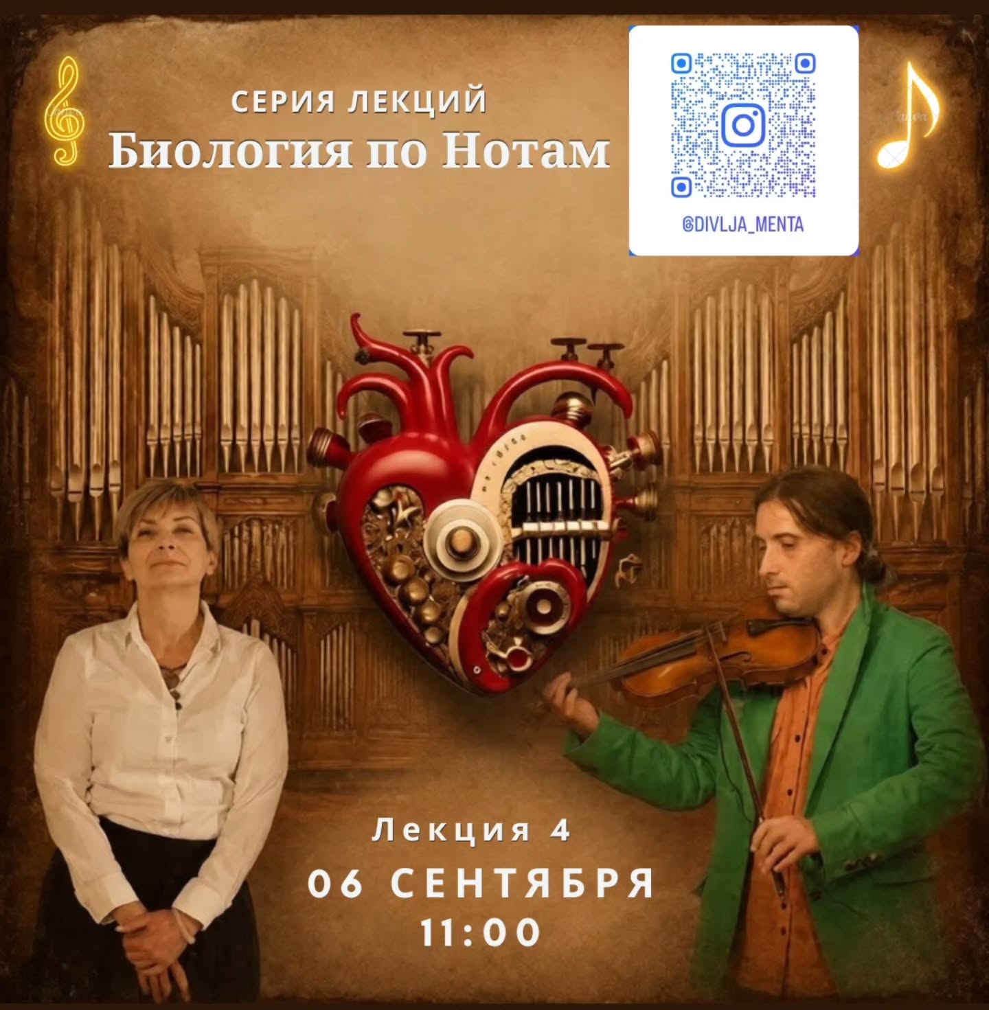Биология по Нотам. Лекция 4: Система кровообращения, Divlja Menta