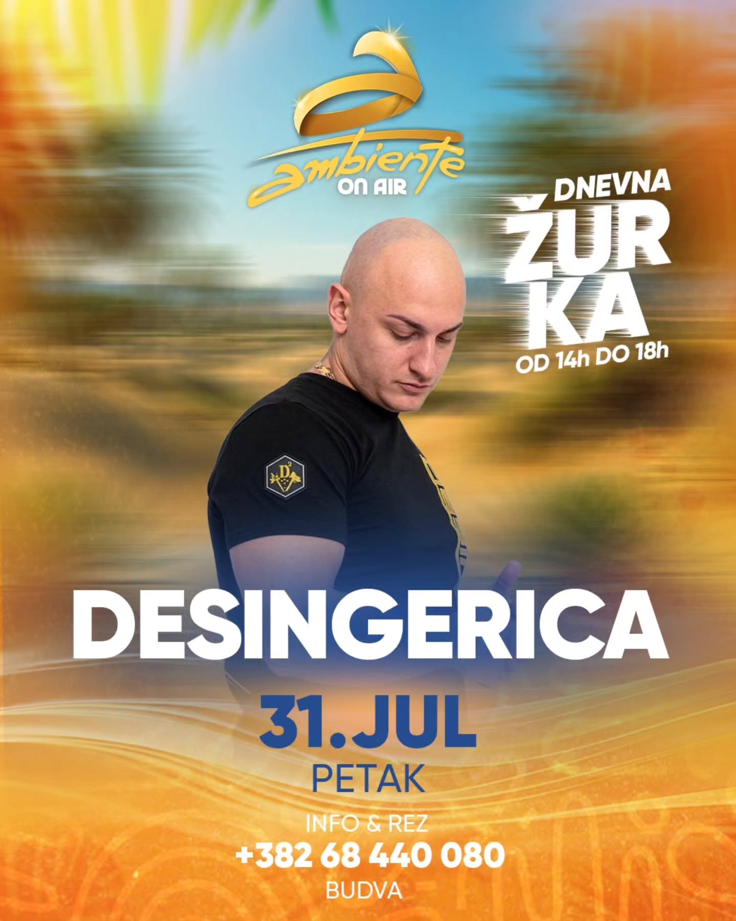 DESINGERICA