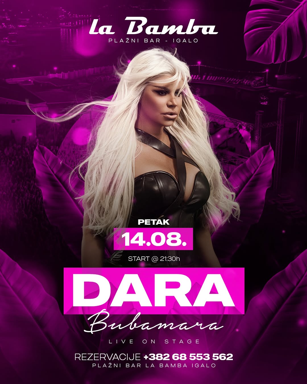 Dara Bubamara, Plazni Bar La Bamba